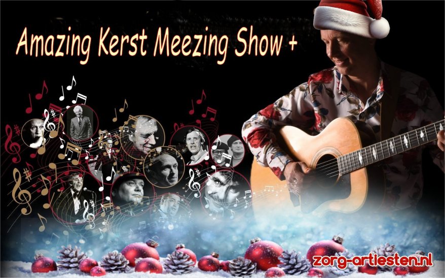 Amazing Meezing Show, www.zorg-artiesten.nl